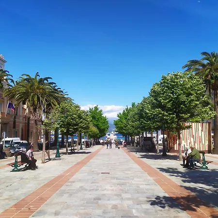 Cosy & Charm Ajaccio Centre Apartment